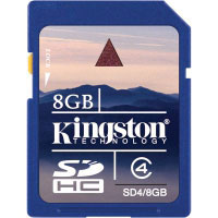 Kingston 8 GB SDHC Class 4 Card (SD4/8GBER)